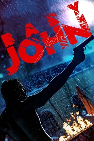 Baby John (2024) Hindi (DD5.1) WEB-DL 1080p – 720p – 480p