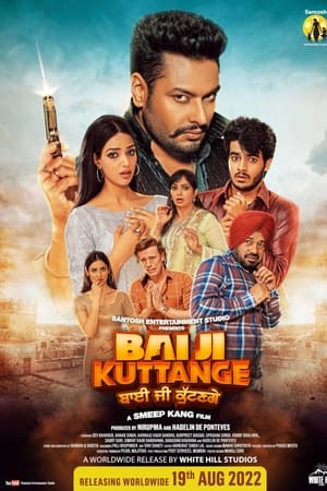 Saturday Night 2022 Hindi Movie DVDScr 720p – 480p