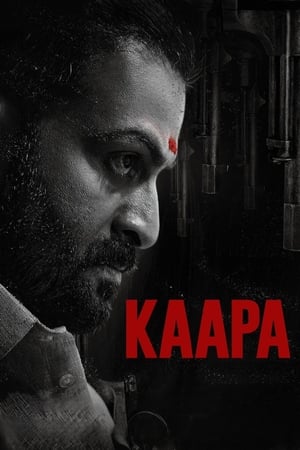 No Traces (2023) Season 1 Dual Audio Hindi HDRip – 720p – 480p