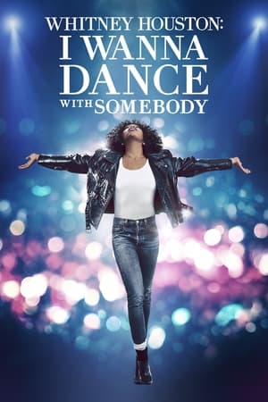 Blue Bayou 2021 Hindi Dual Audio HDRip 720p- 480p